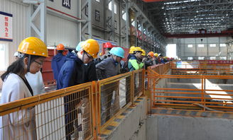 本会成功举办上海市建设工程2017年度绿色施工主题观摩会